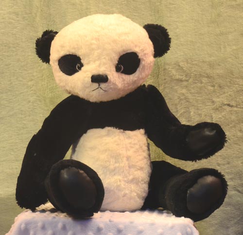 Panda Sitting Seul